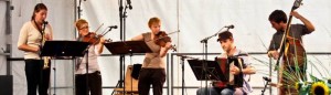 Impression vom Bordun-und-Folklorefestival Zofingen